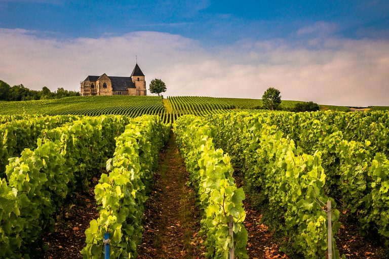 France Passion: wijngaard in de Champagne met de kerk van Chavot-Courcourt op de heuvel